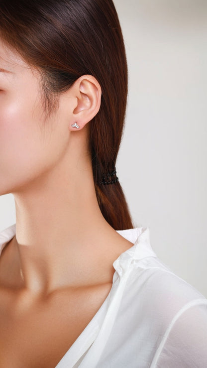 Aristokratiska Smycken Örhängen