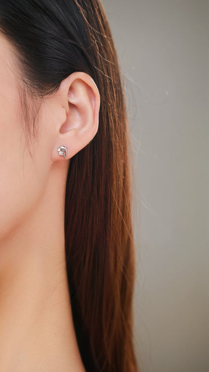 Dolphin Delight Earrings