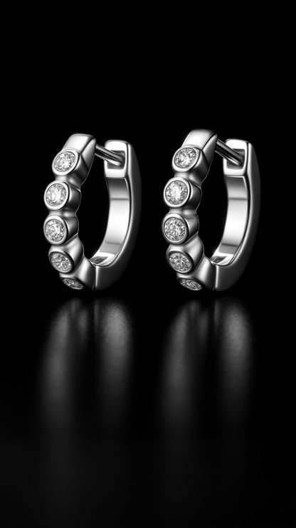 Moderna Horizon Örhängen