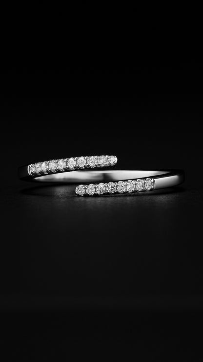 Galaktischer Orbit-Ring