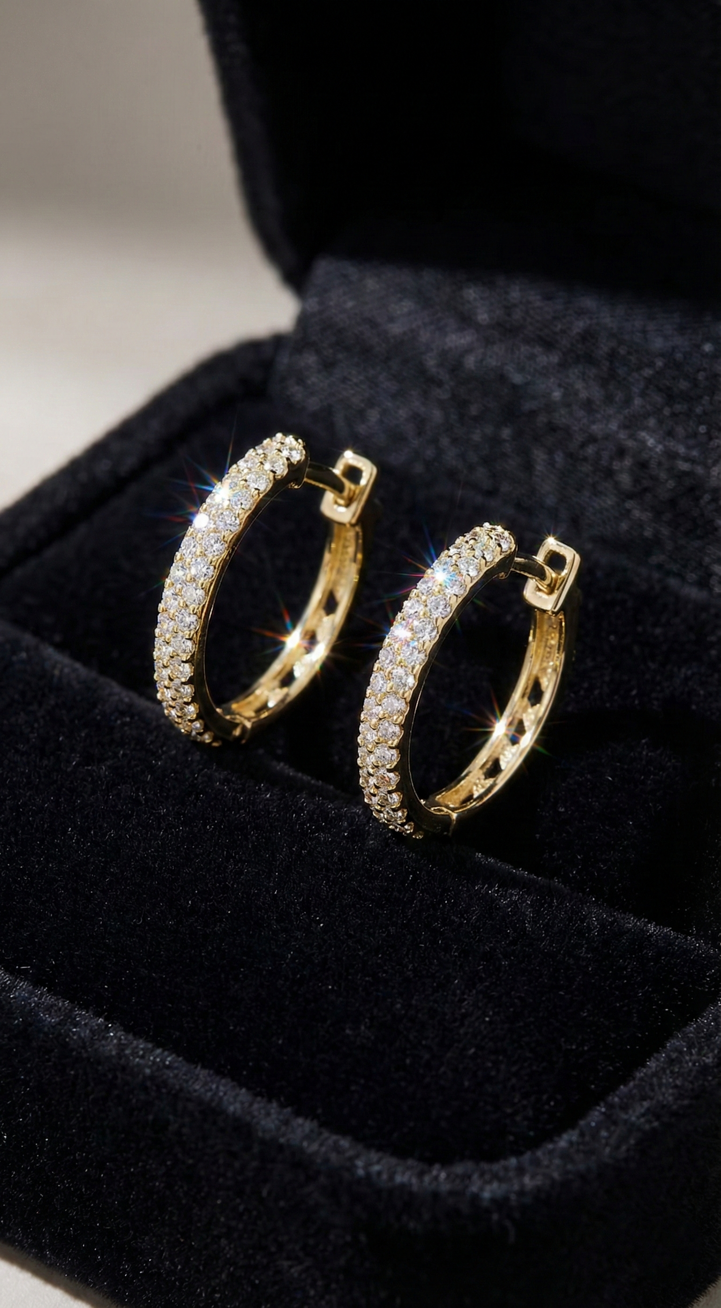 Luxury Loops Earrings
