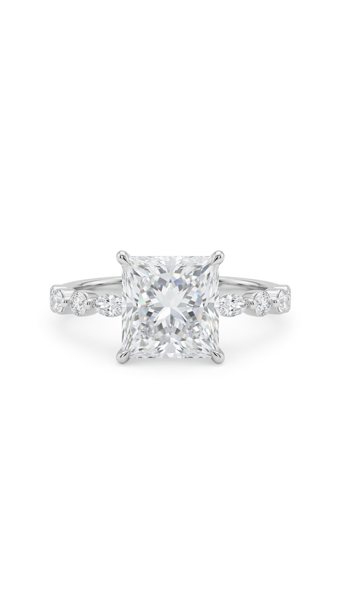 Nova Highlight Ring
