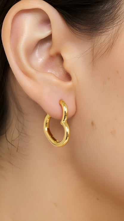 Devotion Heart Earrings