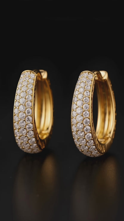 Luxury Loops Earrings