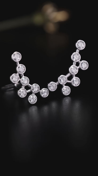 Arcane Allure Earrings