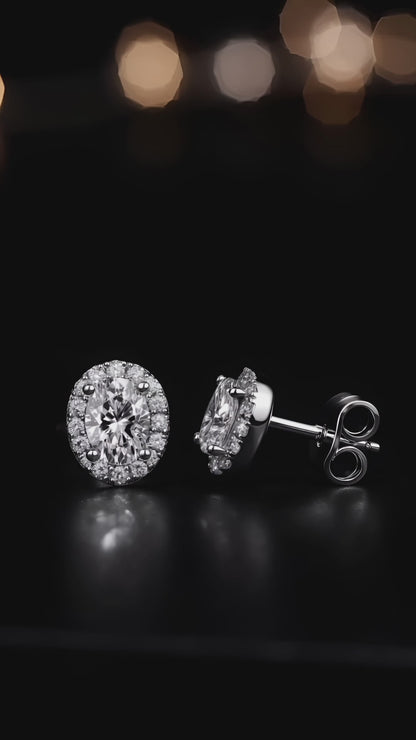 Graceful Capture Earrings