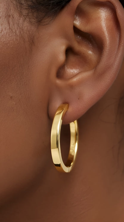 Classic Elegance Earrings