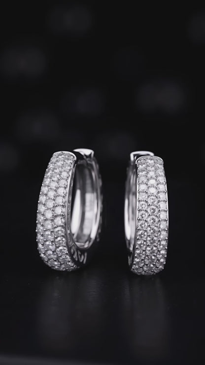 Luxury Loops Earrings