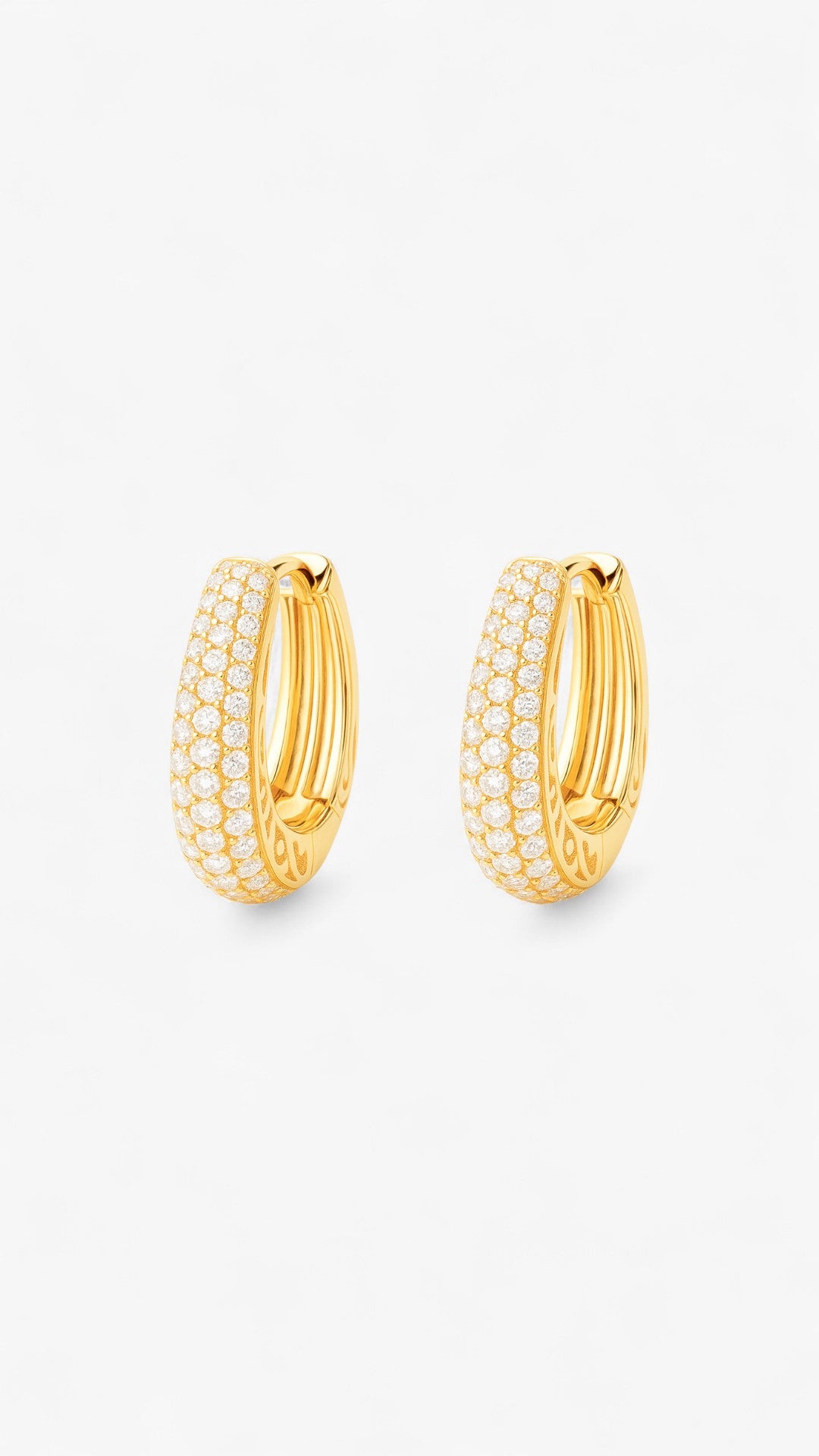 Luxury Loops Earrings