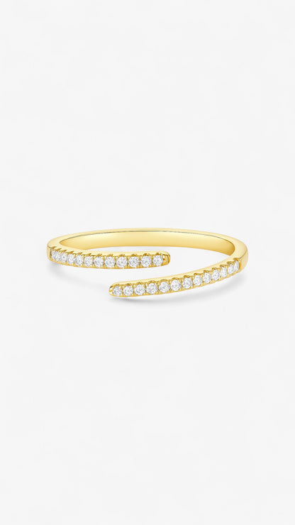 Galaktischer Orbit-Ring