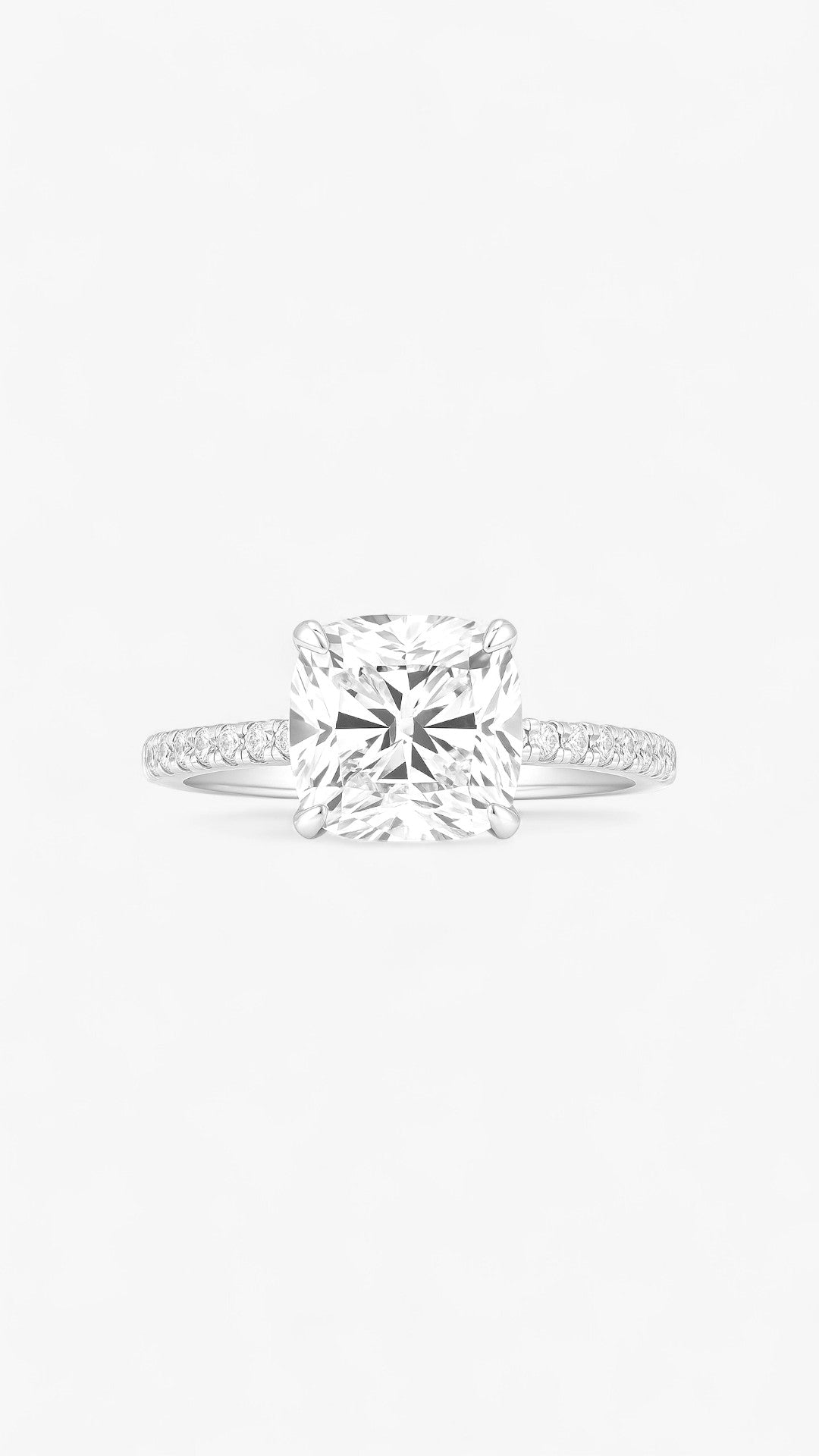 Anillo luminoso de Starborn