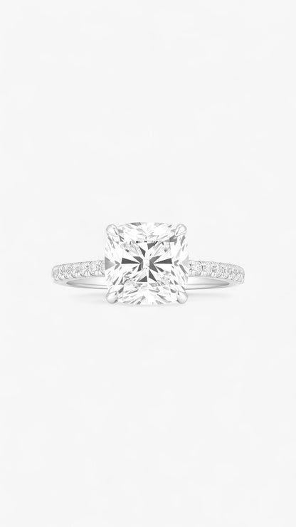 Anillo luminoso de Starborn