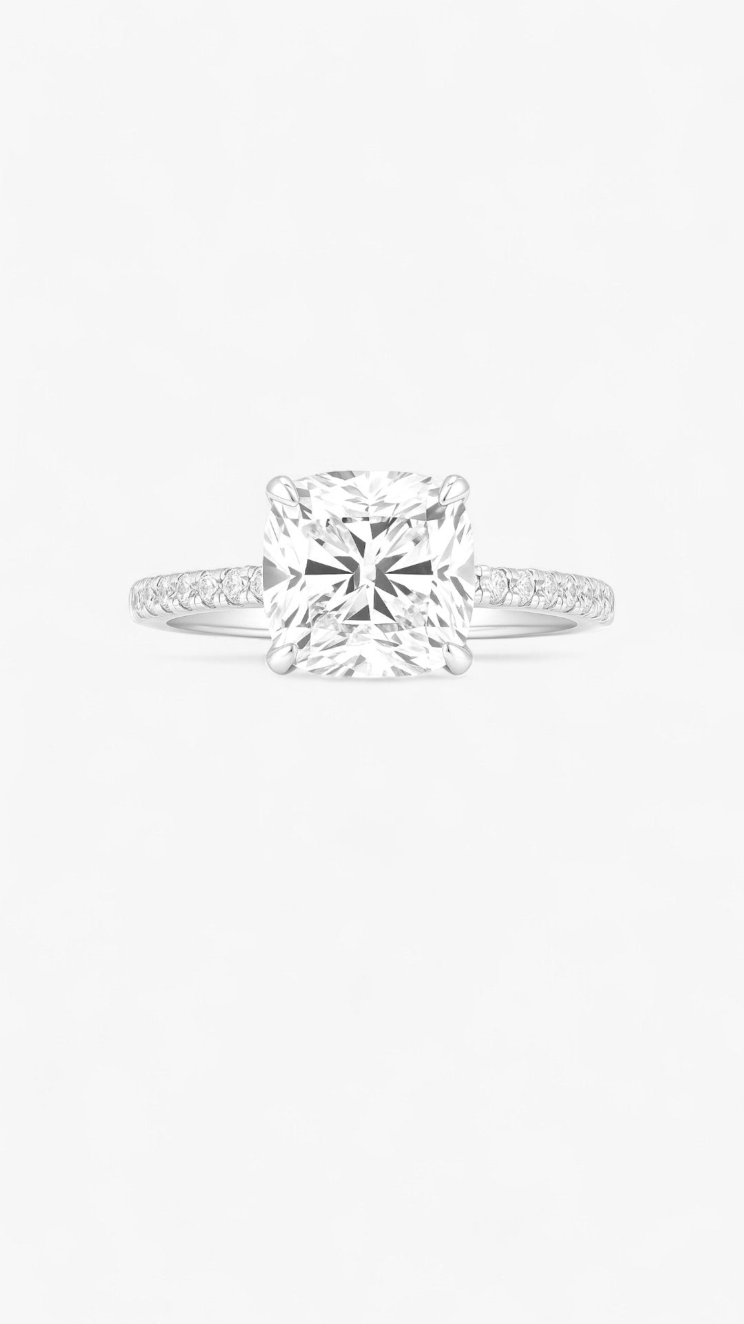 Anillo luminoso de Starborn