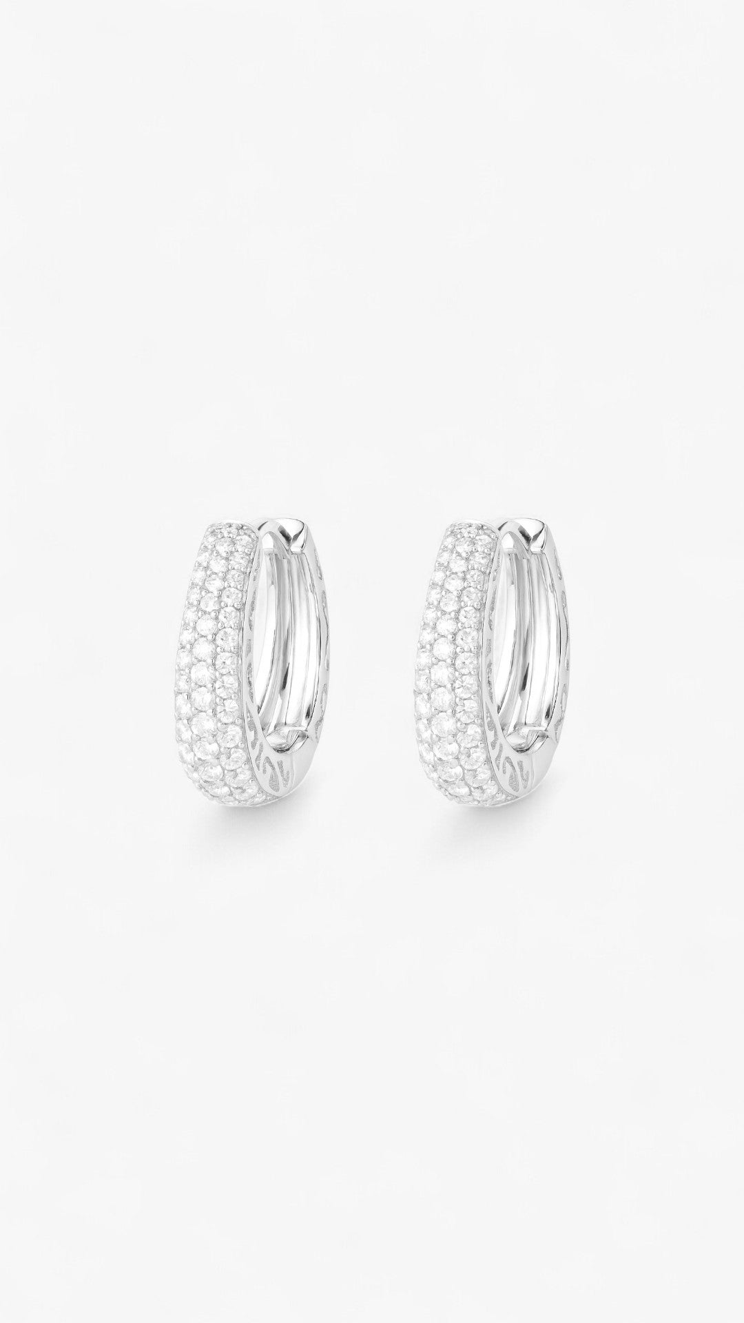 Luxury Loops Earrings