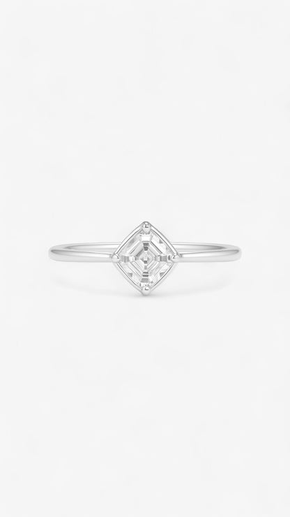 Astronomisk Elegans Ring