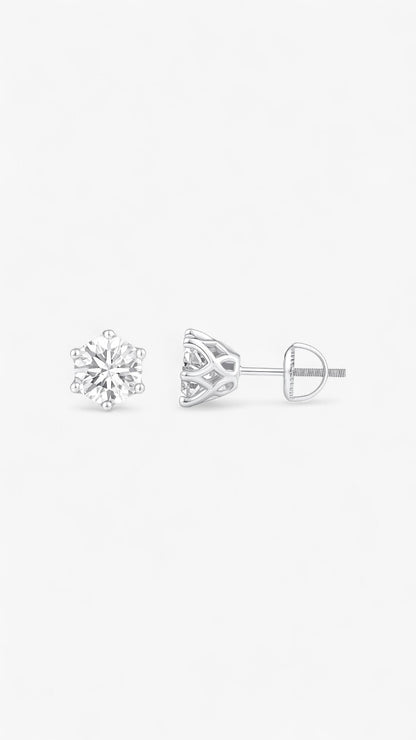 Exquisite Majesty Earrings