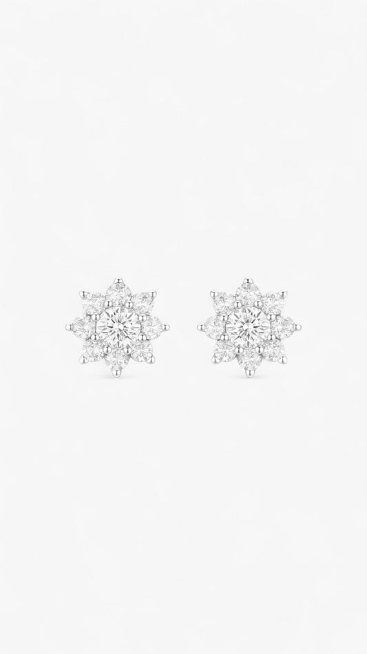 Frosted Glamour Earrings